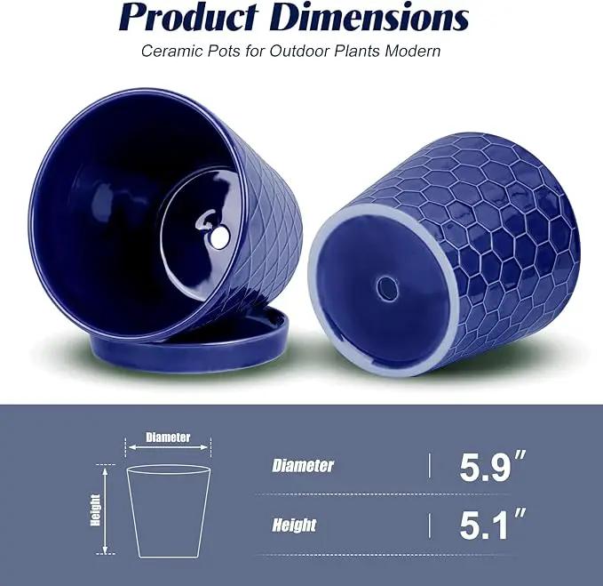 BUYMAX Plant Pots Indoor –6 inch Ceramic Flower Pot with Drainage Hole and Ceramic Tray - Gardening Home Desktop Office Windowsill Decoration Gift, Set of 2(Royal Blue) by GreenHaven Gardens