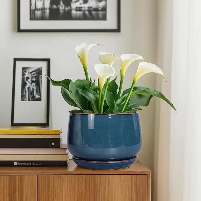 G EPGardening Ceramic Plant Pots - 9 Inch Round Modern Planter Indoor with Drainage and Tray for Indoor Outdoor Flower, Office Decor, Gardening Gifts, Retro Blue by GreenHaven Gardens