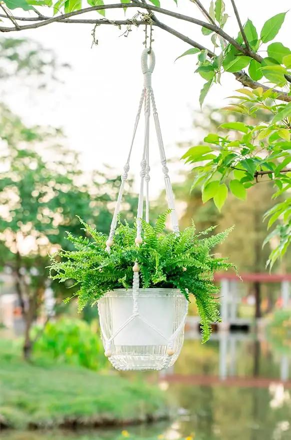 Melphoe Self Watering Hanging Planters for Indoor Plants, 1 Pack 8.3 Inch Outdoor Hanging Plant Pot Basket, 2 Kinds of Hangers Macrame 35.5’’ & Metal Chain 19.6’’ for Garden Home Decor by GreenHaven Gardens