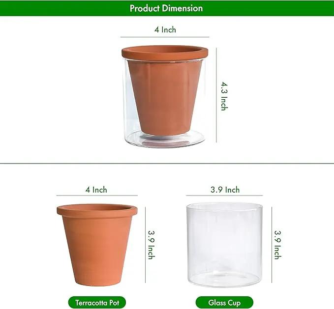 D'vine Dev 4 Inch Design Self Watering Pot for Indoor Plants, Terracotta Planter with Cylinder Glass Cup, Set of 2, 37-X-A-2 by GreenHaven Gardens