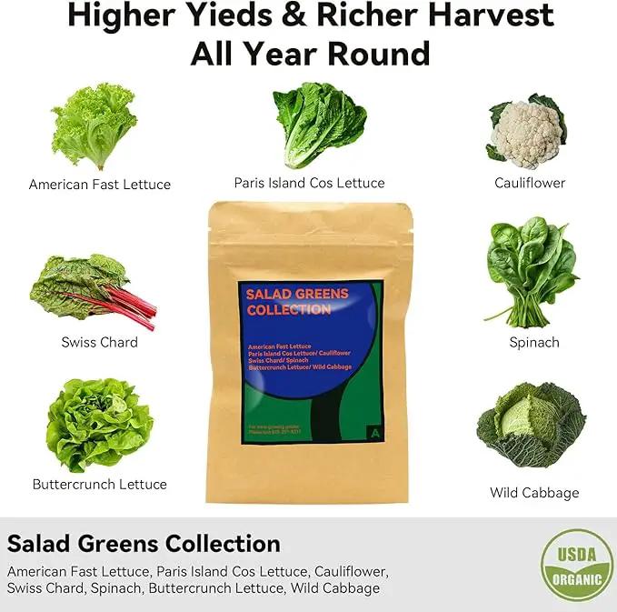Salad Greens Seed Pod Kit for AeroGarden Hydroponics Growing System, Indoor Home Garden with American Fast/Paris Island/Buttercrunch Lettuce, Swiss Chard, Spinach, Cauliflower and Wild Cabbage, 7 Pods by GreenHaven Gardens