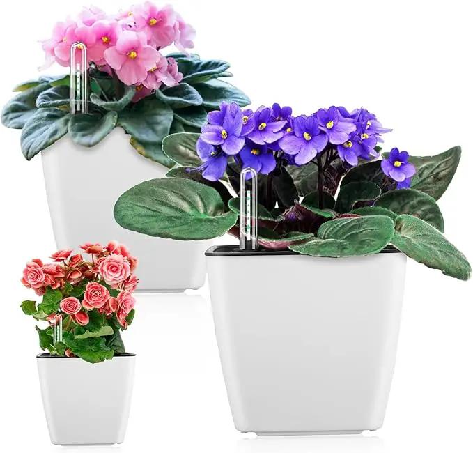 Self Watering Planters for Indoor Plants : 5 inch 3 Pack White African Violet Self Watering Flower and Herb pots by GreenHaven Gardens