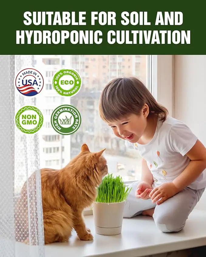 Organic Cat Grass & Catnip Seeds Kit – 3 Pack Oat & Barley Grass for Indoor Cats – Fast 7-Day Growth, High Germination, Hairball Control & Play – Pet-Safe Planting Set by GreenHaven Gardens