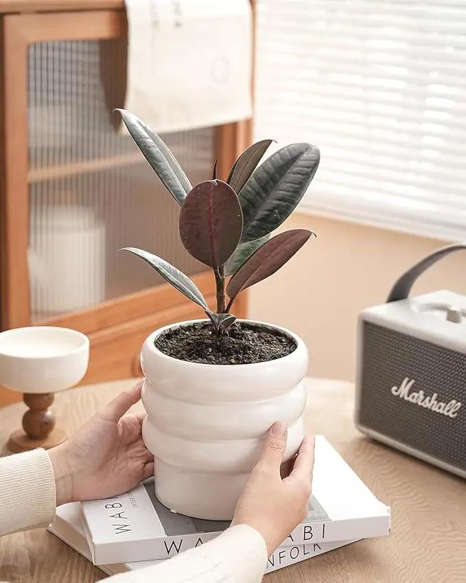 Bubble Ceramic Plant Pots with Drainage Holes and Saucers,6 inch Medium Flower Pots Modern Decor Planter for Indoor Plants(White) by GreenHaven Gardens