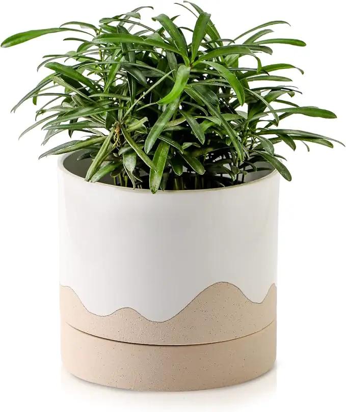 Nihow Ceramic Plant Pot: 6 Inch Planter with Drainage Hole & Saucer for Indoor & Outdoor Plants - Cylinder Round Flower Pot for Succulent/Herbs/Violets - White & Nature by GreenHaven Gardens
