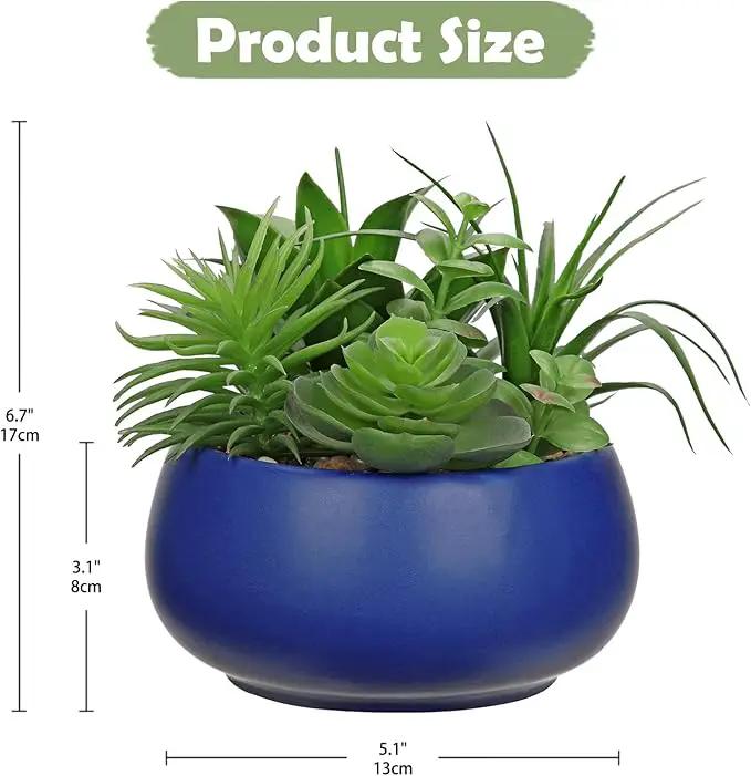 Fake Plants Artificial Succulents in Pots Faux Succulent Arrangement Potted Plant in Blue Ceramic Planter Bowl for Home Decor Office Desk Bathroom Shelf Living Room Indoor Decorations by GreenHaven Gardens