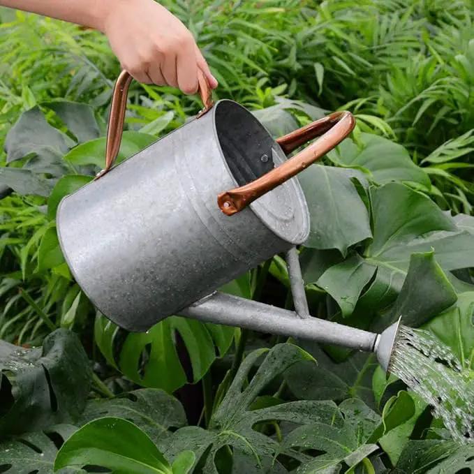 Metal Watering Can, One Gallon Watering Cans Stainless Steel for Outdoor Indoor Garden Plants Watering (Zinc 1 Gallon) by GreenHaven Gardens