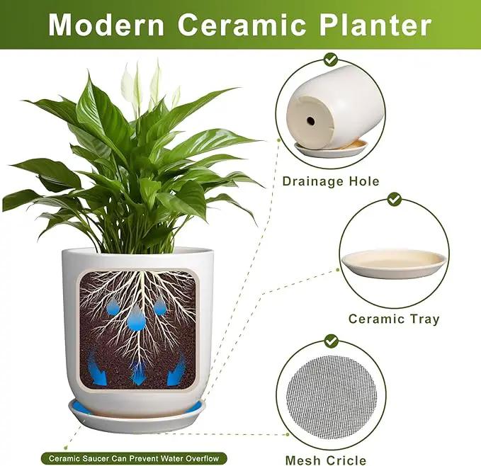Plant Pot 12 inch - Ceramic Pot for Plants Indoor Outdoor Large Planter Pot with Drainage Hole and Saucer Mid-Century Modern Flower Pot Cylinder White by GreenHaven Gardens