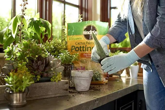 Miracle-Gro Cactus, Palm & Citrus Potting Mix and Succulent Plant Food - Bundle of Potting Soil (8 qt.) and Liquid Plant Food (8 oz.) for Growing and Fertilizing Indoor Succulents by GreenHaven Gardens
