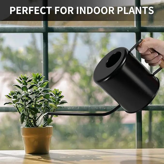 1.5 Liter Black Watering Can for Indoor Plants, House Plants, Flower Watering, Outdoor Plants - Small Metal Watering Can with Long Spout by GreenHaven Gardens