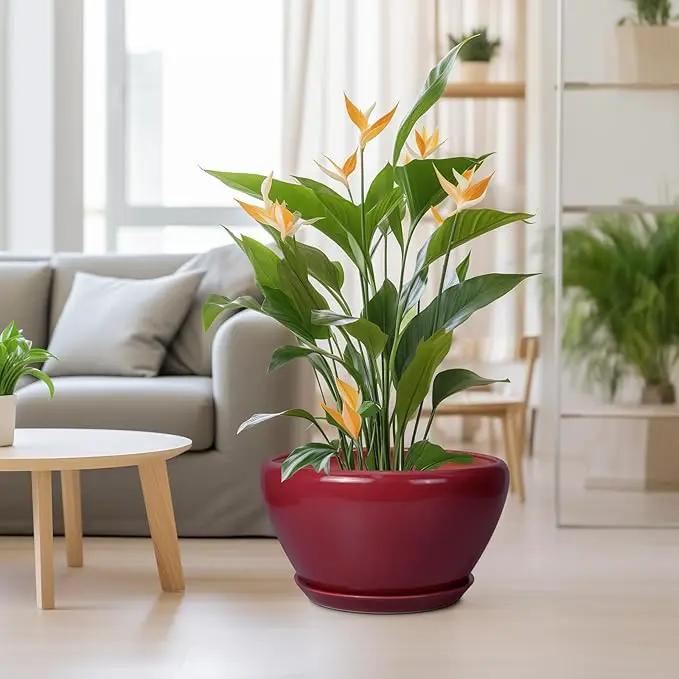Ceramic Planter - Indoor Plant Pot with Drainage Hole and Saucer 13 Inch Large Pots for Plants Round Modern Outdoor Flower Pot Mid-Century Patio Room Decor Red by GreenHaven Gardens