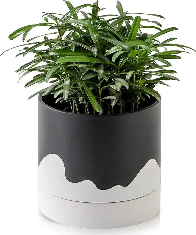 Nihow Ceramic Plant Pot: 6 Inch Planter with Drainage Hole & Saucer for Indoor & Outdoor Plants - Cylinder Round Flower Pot for Succulent/Herbs/Violets - Black & Wave White by GreenHaven Gardens