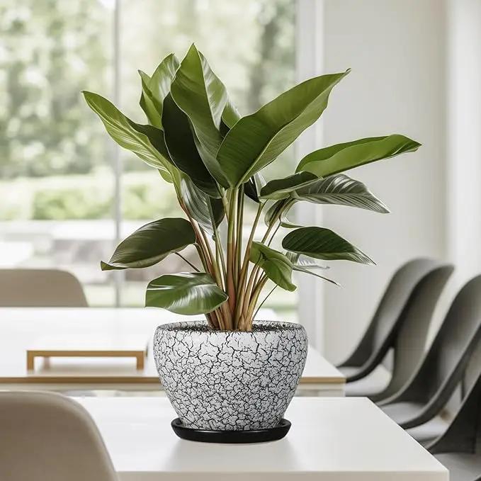 Ceramic Planter Pot - 6 Inch Plant Pot with Drainage Hole and Saucer, Succulent Pot Glaze Round for Indoor Outdoor Plants, White and Black by GreenHaven Gardens