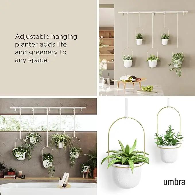 Umbra Triflora Hanging Planter for Window, Indoor Herb Garden, Set of 5, White/Brass by GreenHaven Gardens