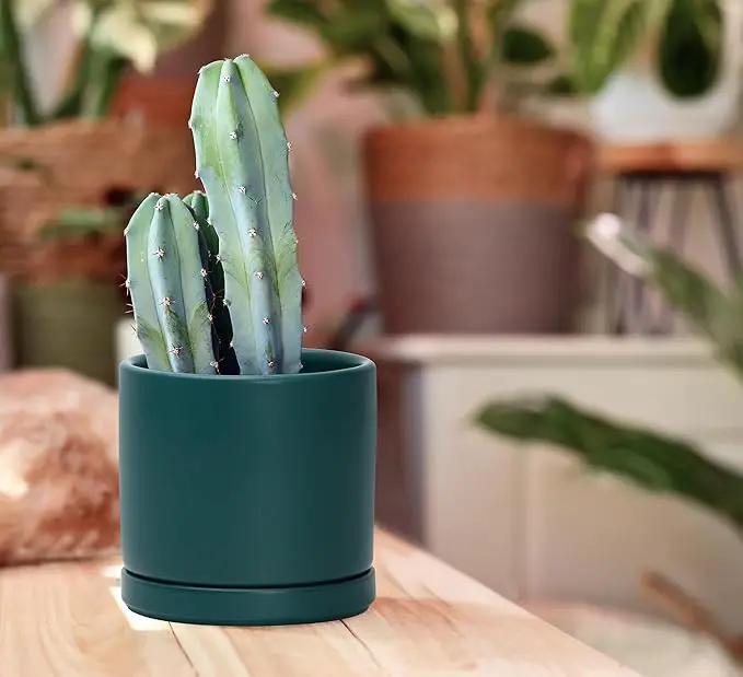 D'vine Dev Set of 2 Plants Pots, 4.6 Inch Ceramic Planter Pot for Plants with Drainage Hole and Saucer, Teal, 94-V-B-9 by GreenHaven Gardens