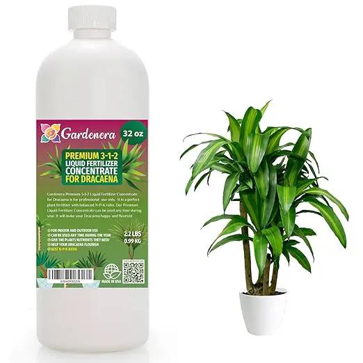 Premium Liquid Dracaena Plant Fertilizer - 3-1-2 Concentrate for Indoor Plants and Flowers by Gardenera | Organic Plant Food for Dracaena Plants - 32oz by GreenHaven Gardens