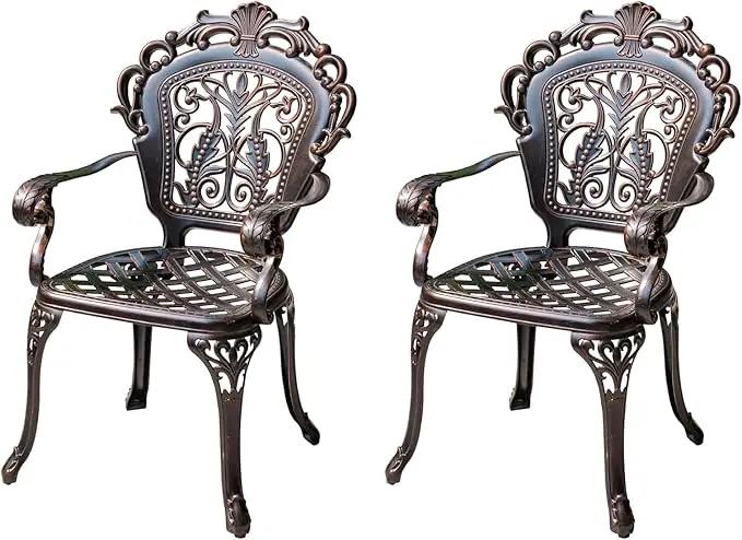 Outdoor Dining Chair Cast Aluminum Patio Chairs Set of 2 All-Weather Patio Dining Chair with Adjustable Feet for Backyard Garden (B-Style Finland Chair) by GreenHaven Gardens