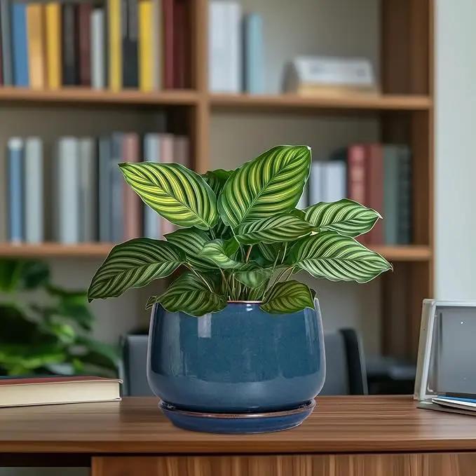 G EPGardening Ceramic Pot for Plants - Modern 7 Inch Round Planter with Drainage and Tray Indoor Outdoor for Flower, Porch Decor, Gardening Gifts, Retro Blue by GreenHaven Gardens