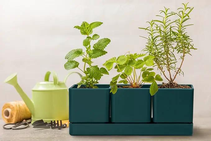 D'vine Dev Herb Garden Planter Set, Plastic Plant Pots with Drainage and Saucer, Indoor Succulent Cactus Vegetable Pot for Windowsill, Garden Balcony, Green, Set of 2, 76-V-C-2 by GreenHaven Gardens