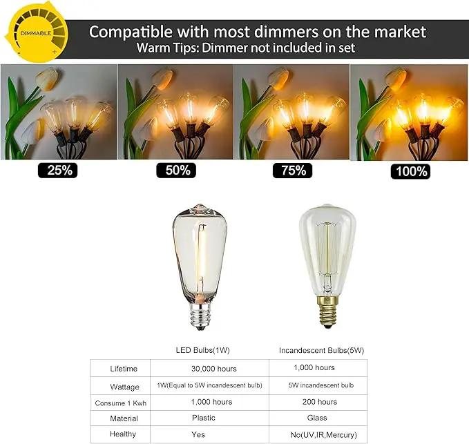 DAMAING Outdoor String Lights 150 FT Patio Lights String with 75 Dimmable ST38 Plastic LED Bulbs,Vintage Shatterproof Edison String Lights Waterproof for Bistro Balcony Backyard and Gazobos. by GreenHaven Gardens