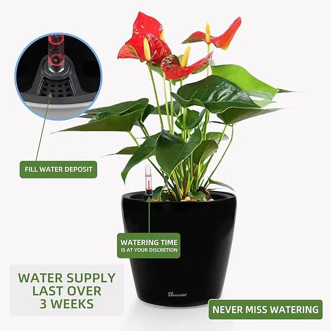 Dexceder 11x10 Inches High Gloss Self Watering Planter Indoor Outdoor, Inner Pot Design, Thickened Table Flower Plant Pot with Water Level Indicator (Black) by GreenHaven Gardens