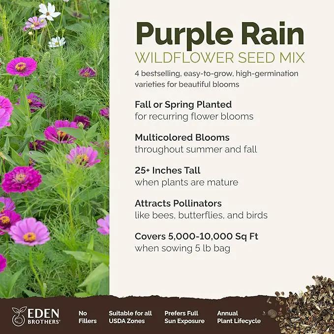 Eden Brothers Purple Rain Flower Mixed Seeds for Planting, 5 lb, 2,400,000+ Seeds with Zinnia Purple Prince & Violet Queen, Cosmos, Attracts Pollinators, Plant in Spring, Zones 3, 4, 5, 6, 7, 8, 9, 10 by GreenHaven Gardens