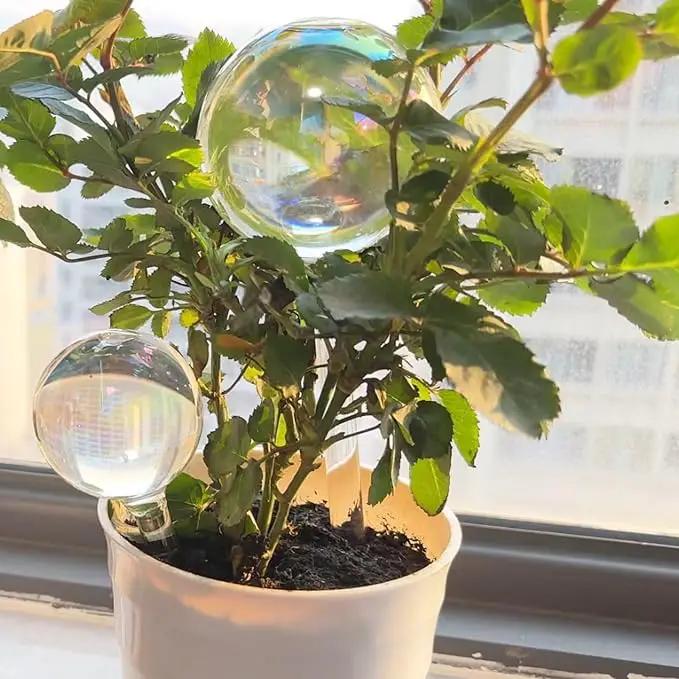 Plant Watering Globes, 6PCS Iridescent Rainbow Gradient Color Clear Glass Bulbs Self Watering Spikes Planter Insert, Automatic Plant Waterer Bulbs Devices for Various Plants by GreenHaven Gardens