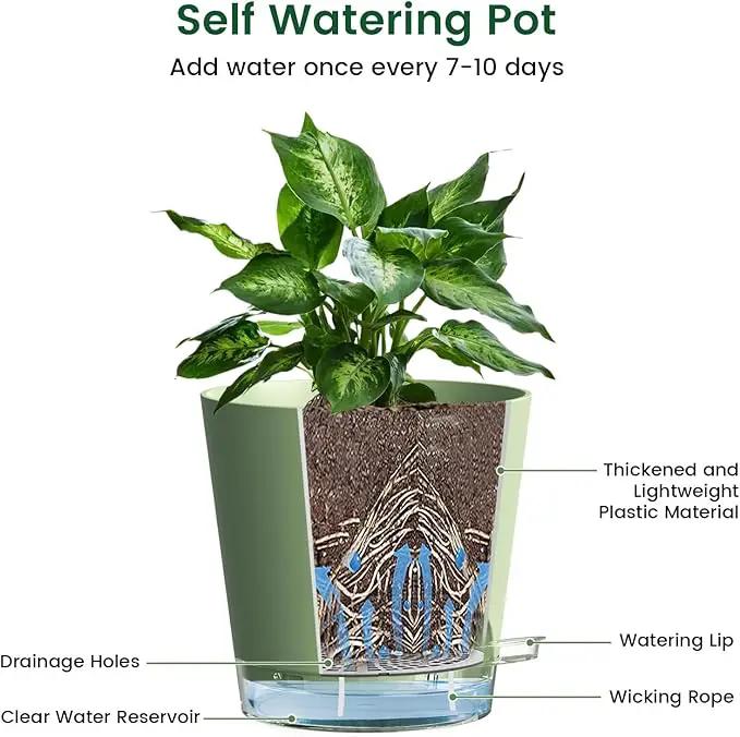6 inch Self Watering Pots for Indoor Outdoor Plants, 3 Pack Flower Plant Pots with Drainage Holes and Clear Reservoirs, Visible Water Level, Plastic Planters with Wicking Rope, Green by GreenHaven Gardens