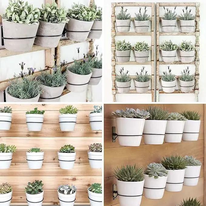 4 Pack 4in Flower Pot Holder Ring Wall Mounted Metal Planter Hooks Hangers Wall Bracket Wall Planter Hook (4, 4") by GreenHaven Gardens