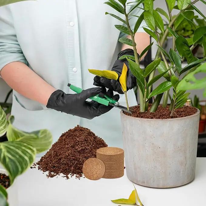 ZeeDix 100 Pcs 40mm Organic Coco Coir Pellets, Compressed Coconut Coir Seed Starter Expanding Soil Discs Potting Soil Dirt Pellets for Planting Bonsai, Herbs, Plants, Flowers and Vegetables by GreenHaven Gardens