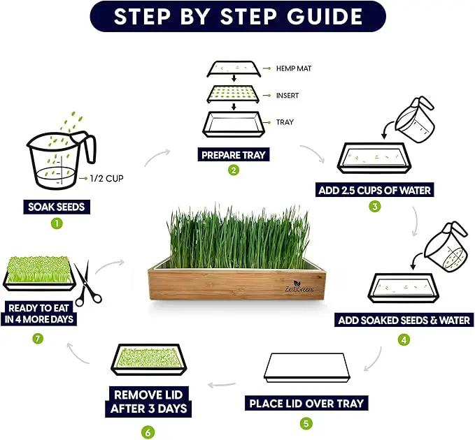Cat Grass Refills for Self Watering Cat Grass Kit - 4 Mats and 4 Cat Grass Seed Packets (Cat Grass Refill Kit) by GreenHaven Gardens