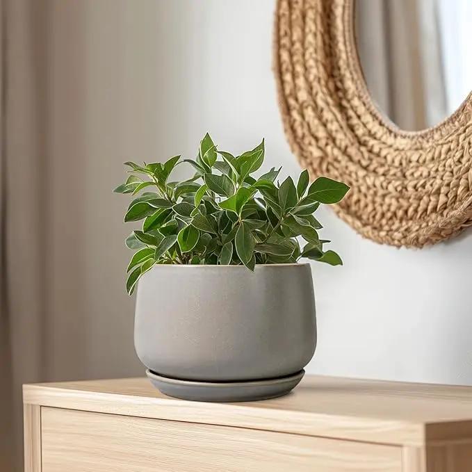 G EPGardening Ceramic Planter 9 Inch - Round Modern Plant Pots with Drainage and Plant Saucer Indoor Outdoor for Flower, Vanity Decor, House Gifts, Retro Grey by GreenHaven Gardens