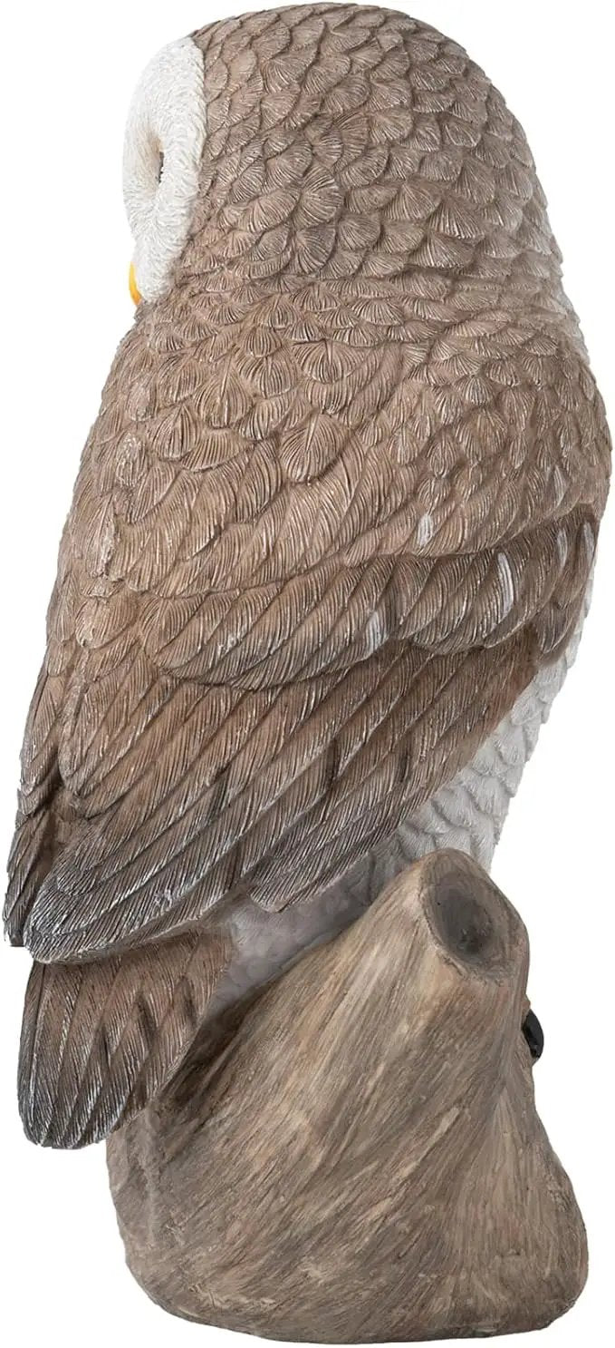 Owl Outdoor Statues Garden Yard - Decoration Home Decor Indoor Desk Tabletop Collectible Figurines Ancient Retro Collection 11" x4.5" x5 Inch by GreenHaven Gardens