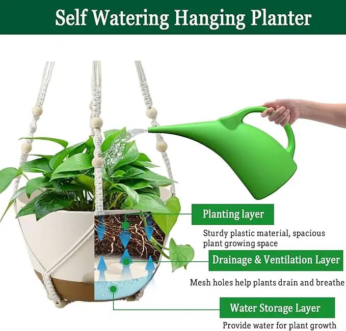 Hanging Planter Self Watering 10 Inch, 2 Pack Indoor Outdoor Hanging Baskets, Hanging Flower Pots with Drainage Hole & 2 Kinds of Plant Hangers for Garden Home Decor(Cream)… by GreenHaven Gardens