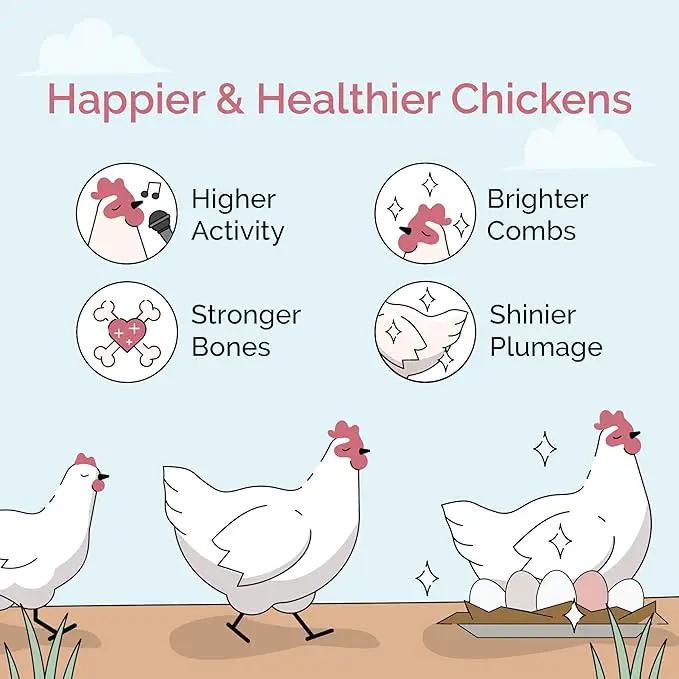 Chicken Grit for Layer & Grower Chickens Age 8-20+ Weeks - 100% Natural Mineral Chicken Grit Quartzite, Poultry Grit, USA Mined, 4 lbs by GreenHaven Gardens