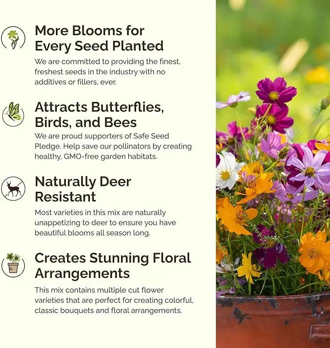 Eden Brothers Crazy for Cosmos Flower Mixed Seeds for Planting, 10 lb, 4,800,000+ Seeds with Cosmos Gloria, Pinkie, Purity, Attracts Pollinators, Plant in Spring or Fall, Zones 3, 4, 5, 6, 7, 8, 9, 10 by GreenHaven Gardens