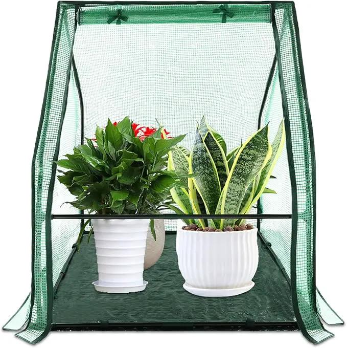 U'Artlines Portable Mini Greenhouse Small Green House with Waterproof Pad 36x36x42 Inch Plant Cover Tent for Garden Small Plants Indoor Outdoor, Green PE by GreenHaven Gardens