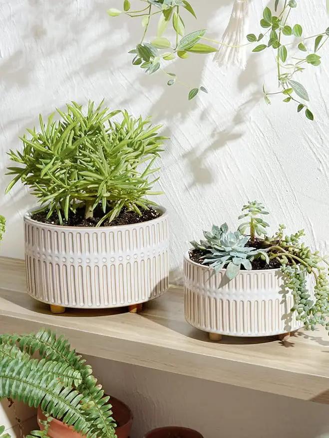 LE TAUCI Succulent Pots, 6.5+8 Inch Ceramic Indoor Plant Pot with Drainage Hole, Modern Round Decorative Flower Pot, Set of 2, Reactive Glaze White by GreenHaven Gardens