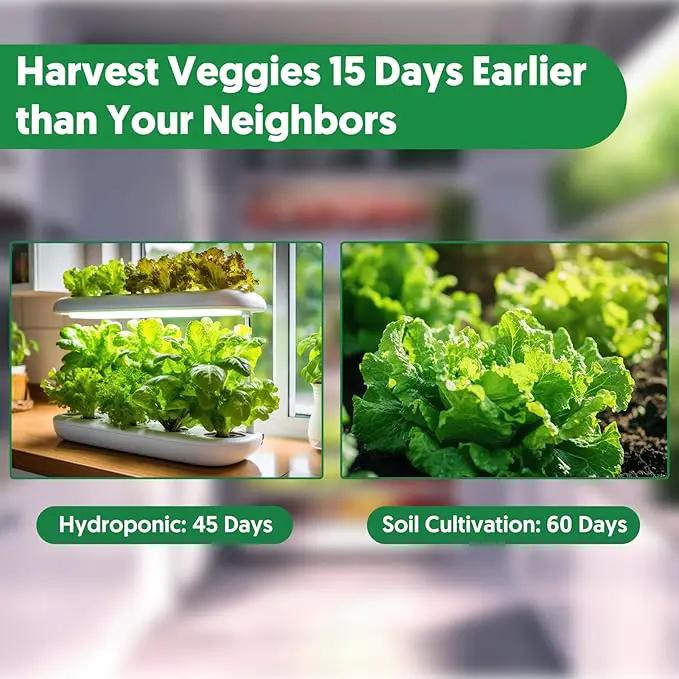 18 Varieties Herb & Vegetable Seeds for Hydroponic, 13000+ Seeds for Indoor Outdoor Garden Planting Home Veggie Herb, Heirloom Non-GMO Culinary Collection Gift Pack by GreenHaven Gardens
