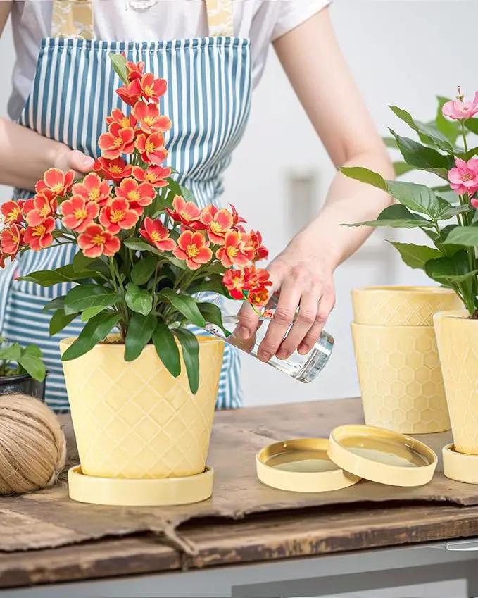 Ceramic Plant Pots –5 inch Indoor Flower Pot with Drainage Hole and Ceramic Tray - Gardening Home Desktop Office Windowsill Decoration Gift, Set of 4-Plants NOT Included(Yellow) by GreenHaven Gardens