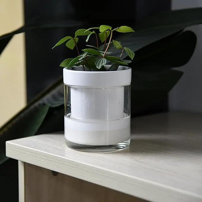 Phoenix Vine 4 Inch Self Watering Planter, White Terracotta Clay Pot with Glass Reservoir for Indoor Plants, Herbs, Flowers, Set of 1, 52-B-E-1 by GreenHaven Gardens