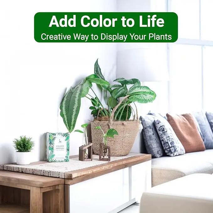 Ivolador Test Tube Propagation Stations Pothos Planter Terrarium Container Perfect for Propagating Hydroponic Plants Home Office Garden Decor Wedding -2 PCS by GreenHaven Gardens