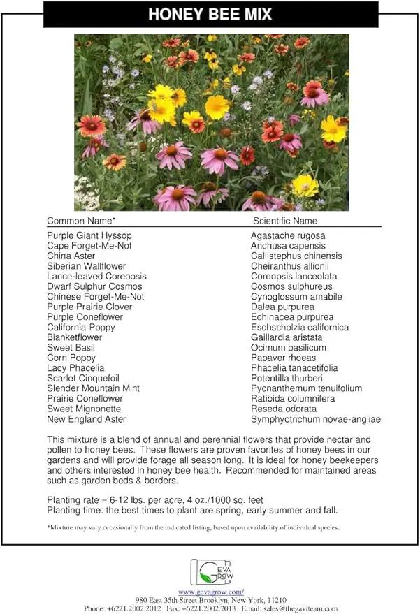 Bulk Wildflower Seed Mix – Honey Bee Wildflower Seed Mix 1 Pound Tub by GevaGrow | Bulk 300,000+ Seed Tub | 19 Variety Flower Seeds for Planting in Pots & Outdoor Gardens | No Messy Bags or Packets | by GreenHaven Gardens