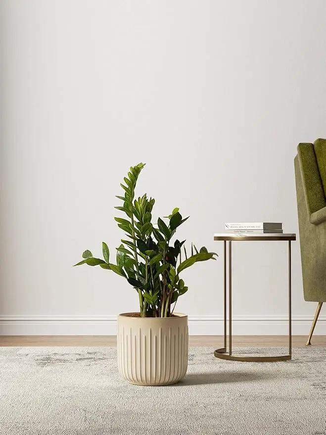 LE TAUCI Ceramic Planters, 8.3+6.9+5.7 Inch Plant Pots for Indoor Plants, Set of 3 Flower Pots with Drainage Holes, Round Planters Pot for Indoor House Plants, Reactive Glaze Cloud Cream by GreenHaven Gardens