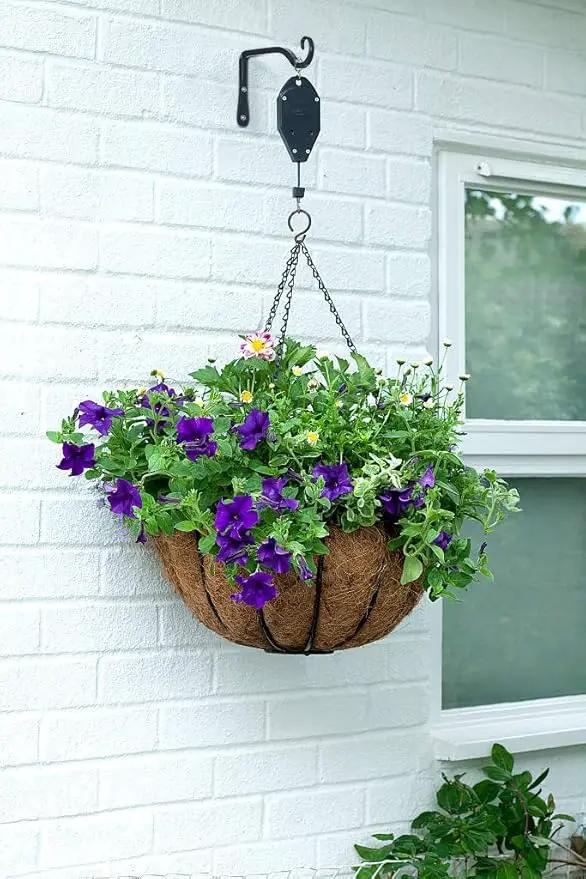 Mkono Hanging Plant Bracket 6 inch Metal Wall Plant Hook Decorative Plant Hanger for Bird Feeders, Planters, Lanterns, Wind Chimes, Home Decor Indoor Outdoor 2 Pack, Black by GreenHaven Gardens