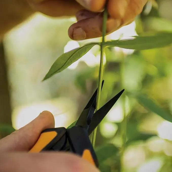 Fiskars 6" Pruning Scissors (2-Pack) for Flowers, Buds, Weeds and Small Plants, Garden Snips with Resin Resistant Nonstick Stainless Steel Blades, Gardening Trimmers with Comfortable Handle by GreenHaven Gardens
