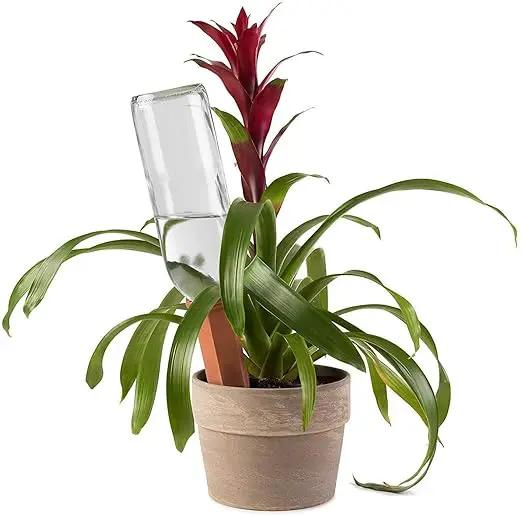 Plant Self-Watering Stakes for Indoor Outdoor Plants (4 Count) Terracotta Plant Watering Spikes for Recycled Wine Bottles to Water Plant at Home or on Vacation - Automatic Irrigation System for Plants by GreenHaven Gardens