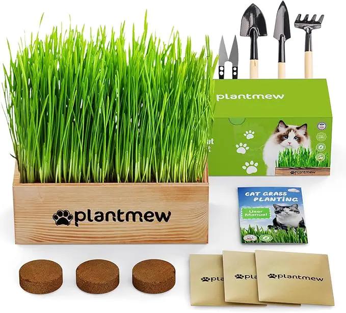 Organic Cat Grass Kit for Indoor Cats - 3 Pack with Cat Grass Seeds, Nutrient Soil & Planter Pots | Complete Growing Set for Fresh Pet Grass (Non-GMO Wheat Grass) by GreenHaven Gardens