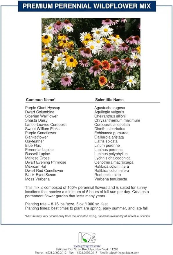 Bulk Wildflower Seed Shaker – Perennial Flower Seeds Mix to Plant Anywhere, by Geva Grow | 20 - Different Type Beautiful Perennial Wildflower Seeds Bulk 900,000+ Seeds, 1 Pound Tub by GreenHaven Gardens