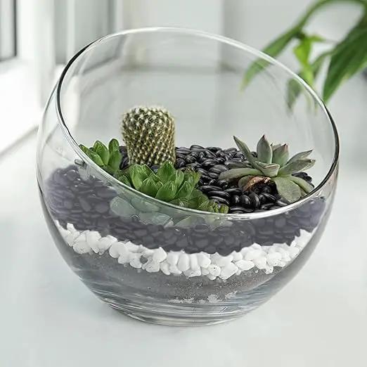 5 lbs Black Pebbles for Indoor Plants, Succulent, Bamboo, Vase, 3/8" Plant Rocks for Pots Indoor, Small River Rocks Decorative Pea Gravel, Highly Polished by GreenHaven Gardens
